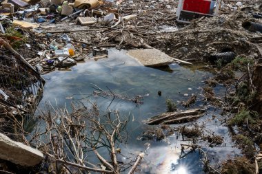 Bulgaristan 'ın Elenite plajında durgun bir sel suyu havuzu bulutlu bir gökyüzünü yansıtıyor ve etrafa saçılmış enkaz, akıntı ve çamur ile çevrili..