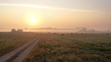 Güneşin doğuşunu kaplayan sisli hava manzarası. Kırsal kesimde yol boyunca uçuyor. Güneş ışınları sisi aydınlatıyor..