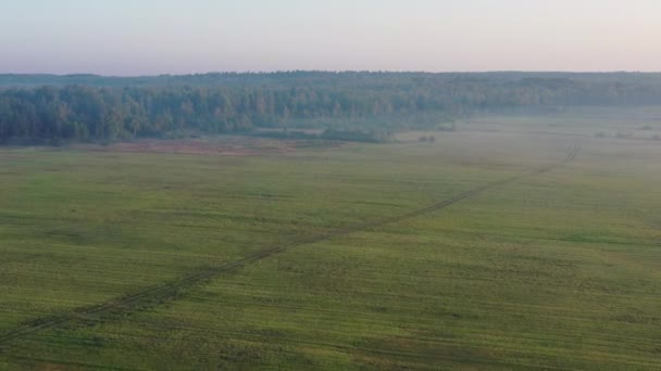 Luchtfoto Landschap Van Zonsopgang Mist Bedekking Veld Mist Bedekt Bos — Stockvideo