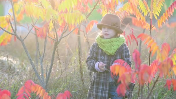 Schattig Klein Meisje Een Zonnig Herfstkleurrijk Park Lachend Kind Speelt — Stockvideo