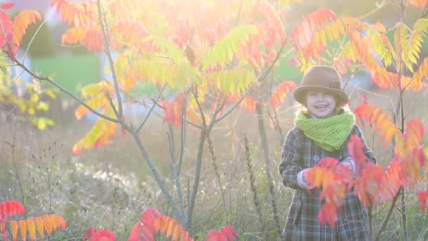 Güneşli Bir Sonbahar Parkında Küçük Şirin Bir Kız Gülümseyen Çocuk — Stok video