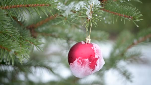 Women Hands Mittens Hang Christmas Decorations Spruce Branch Snowy New — Vídeo de Stock
