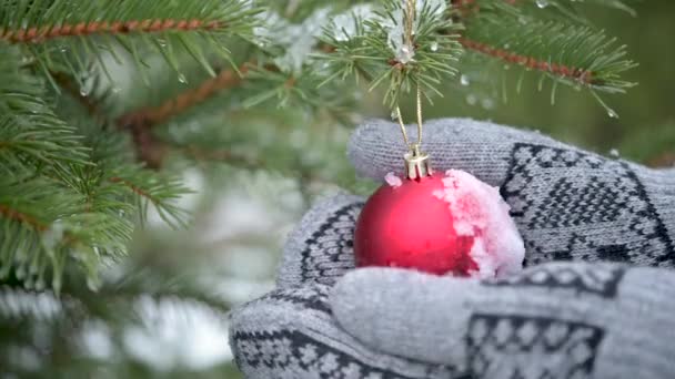 女人们戴着手套的手把圣诞装饰品挂在云杉树枝上 雪地的新年树 圣诞快乐 — 图库视频影像