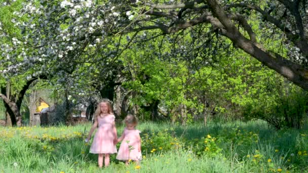 Vrolijke Meisjes Mooie Roze Jurken Wandelen Een Bloeiend Zonnig Voorjaarspark — Stockvideo