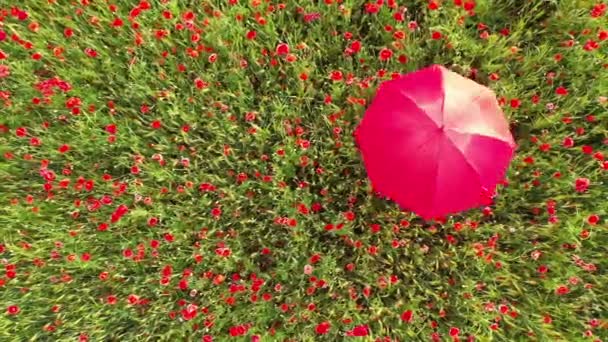 Une Fille Joue Avec Parapluie Rouge Dans Champ Pavot Fleurs — Video