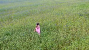 Çelenk ve Elbise Giyen Mutlu Küçük Kız 'ın Çavdar Tarlasında Çiçek Açan Çiçeklerle Eğlence Videosu. Doğa kavramının tadını çıkarıyorum. Mutlu Çocukluk