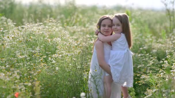 Dos Hermosas Chicas Lindas Vestidos Blancos Descansando Campo Verano Abrazándose — Vídeo de stock