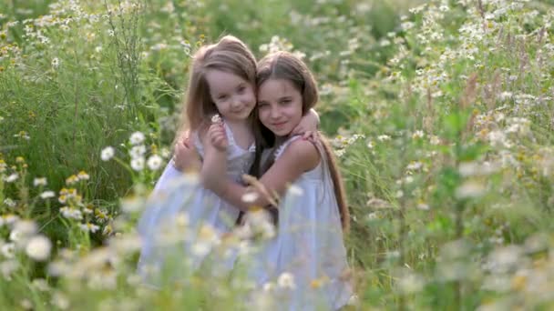 Dos Hermosas Chicas Lindas Vestidos Blancos Están Descansando Campo Entre — Vídeos de Stock