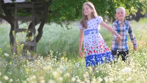 Lovely Lovely Children Evening Park Holding Hands Rays Setting Sun — Vídeo de stock