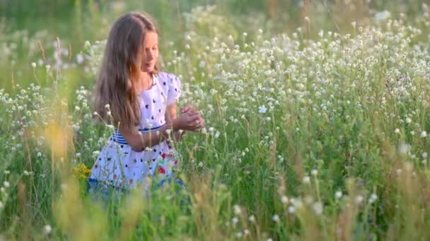 Cute School Age Girl Walking Evening Field Zbieranie Dzikich Kwiatów — Wideo stockowe