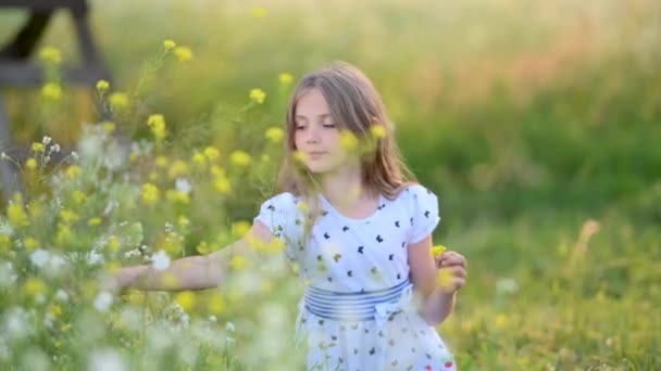 Cute School Age Girl Walking Evening Field Zbieranie Dzikich Kwiatów — Wideo stockowe