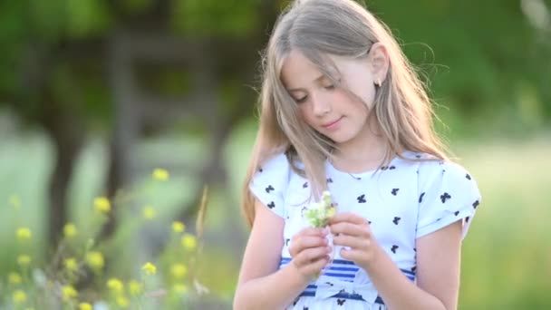 かわいい学齢の女の子夕方のフィールドを歩く 野生の花を収集します 屋外で幸せな子供 夏休みだ 子供の頃 — ストック動画