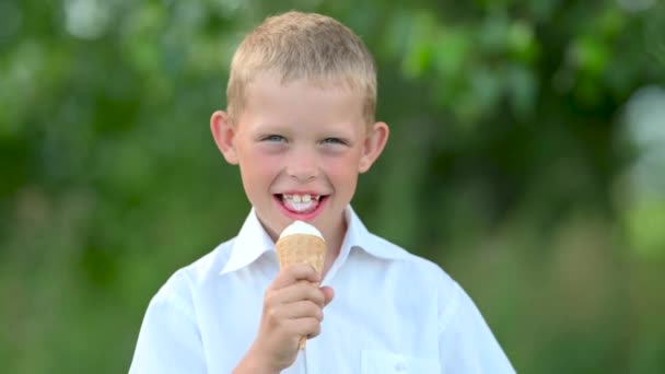 Lindo Chico Divertido Disfrutando Delicioso Helado Niño Con Helado Parque — Vídeos de Stock