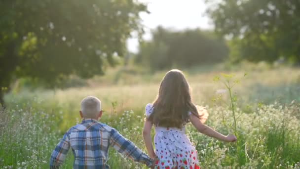 可爱的孩子们 在黄昏的公园里散步 牵着手 在落日的烈日下奔跑 慢动作 快乐童年的概念 童年时光 — 图库视频影像
