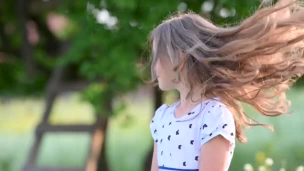 Nahaufnahme Porträt Eines Glücklichen Kleinen Mädchens Einem Kleid Einem Sommerpark — Stockvideo