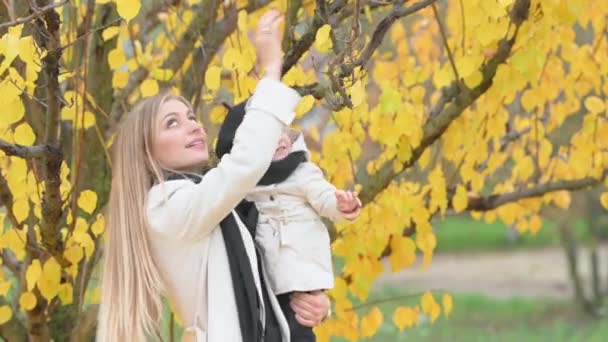 Mãe Feliz Parque Outono Brinca Com Sua Filha Bonito Passe — Vídeo de Stock