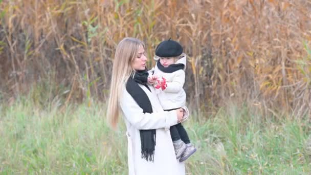 幸せなお母さんはかわいい娘と一緒に秋の公園を歩いています 公園で幸せな家族 家族や夢のコンセプト — ストック動画