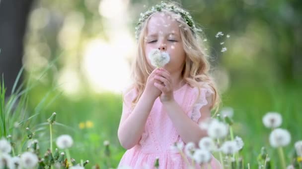 ピンクのドレスを着た可愛い女の子が春の公園でタンポポを吹いて遊んでいます 楽しいアウトドアをしている幸せな子供 — ストック動画
