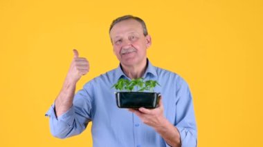 Çiftçi elinde genç lahanaların olduğu plastik bir tepsi tutuyor. Stüdyonun sarı arka planında baş parmaklarını gösteriyor. Ekolojik olarak temiz bir gezegen. Sağlıklı vejetaryen gıda konsepti.