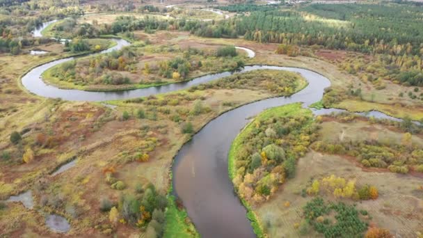 Volare Dal Drone Sopra Fiume Paesaggio Fluviale Bella Natura Europea — Video Stock