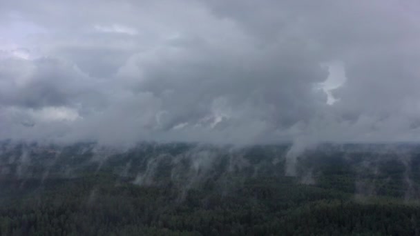 空中展望 雨の後に森の上に蒸気が立ち上がる — ストック動画