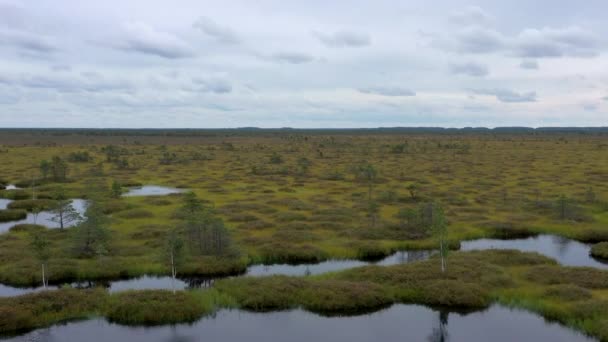 Vue Dessus Paysage Marécageux Survoler Paysage Pittoresque Paysage Fond Naturel — Video