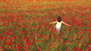 Beyaz elbiseli bir kız lanet bir tarlada ağır ağır koşuyor. Güzel bir bahar tarlasında gelincik çiçekleri.