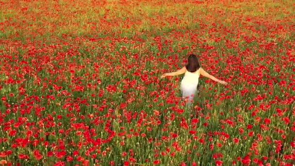 Dívka Bílých Šatech Běží Kvetoucím Poli Slow Motion Mák Květiny — Stock video