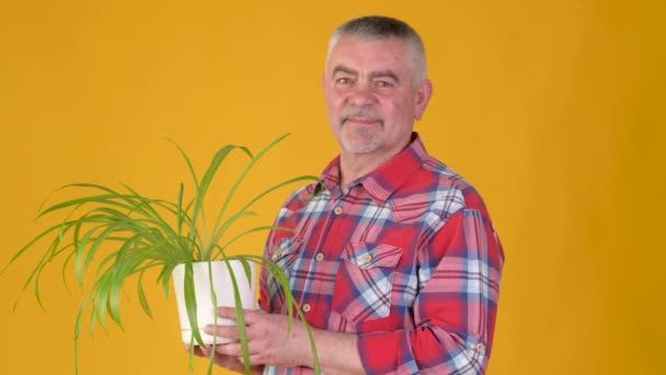 Charmant Homme Âge Moyen Tenant Une Poignée Fleurs Souriantes Isolées — Video