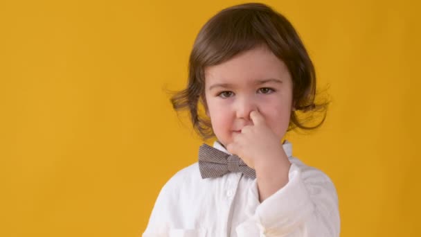 面白い小さな男の子はカメラを見て 黄色のスタジオの背景に隔離された彼の鼻を選びます 子供時代のライフスタイルのコンセプト — ストック動画