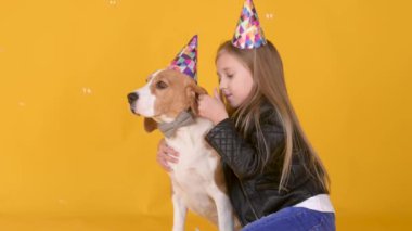 Küçük kız, stüdyo sarı arka planda doğum günü partisini kutlamak için av köpeğine sarılır..