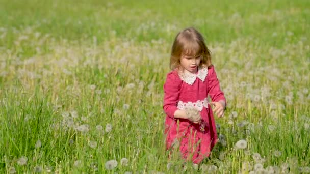 Criança Feliz Bonito Pouco Está Brincando Prado Verde Uma Menina — Vídeo de Stock