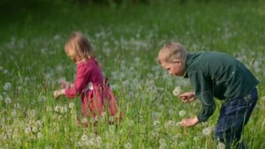 Parktaki sahada oynayan mutlu aile çocukları. Erkek ve kız kardeş çayırda karahindiba topluyorlar. Mutlu çocuk dışarıda eğleniyor..