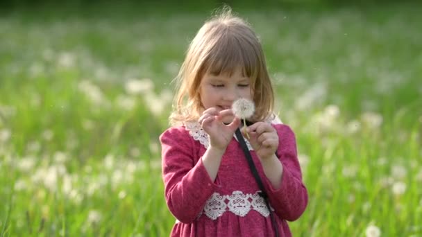 Portré Egy Aranyos Kislányról Egy Zöld Kertben Pitypangokkal Kezében Gyermekek — Stock videók