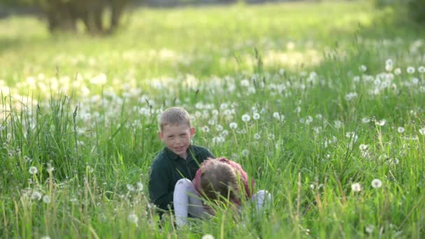 Lycklig Familj Utomhus Broder Och Syster Leker Den Gröna Ängen — Stockvideo