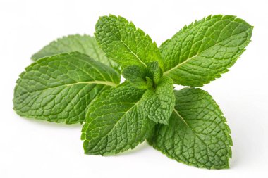 beyaz arkaplanda izole edilmiş nane