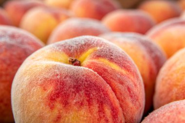 Tahta masada olgun şeftaliler. Taze şeftali yakın - yakın -.