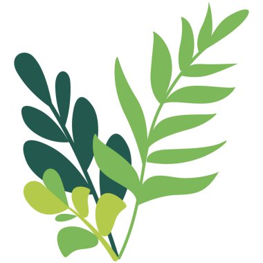 Doğal tonlara sahip 2D yapraklı yeşil dal. Çiçek dekorasyonu, eko tasarımları ve botanik yaratıcı çizimler için uygun..