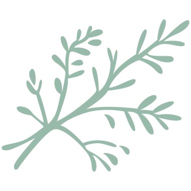 2d adaçayı yaprağı basit, yumuşak yeşil bir filizlenme, botanik dekorasyon için ideal, minimalist tasarımlar, ve şirin doğal temalı sanat.