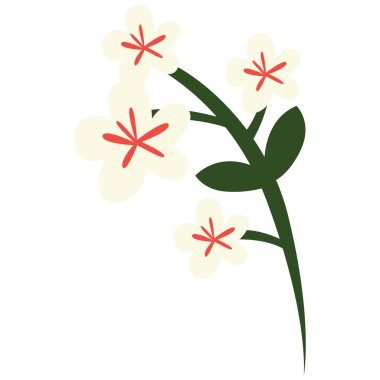 Beyaz çiçekli ve açık sarı merkezli 2D dal, sakin çiçek süslemeleri, bahar sanatı ve doğal minimalist tasarımlar için mükemmel..