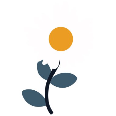 2d, temiz saplı ve sarı daireli papatya çiçeği. Çiçek dekorasyonu, bahar tasarımı ya da minimum doğa projesi için ideal..