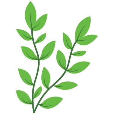 Botanik planlar, doğa dekorasyonu ve yaratıcı projeler için uygun temiz düz stil içeren 2d yapraklı dal ögesi