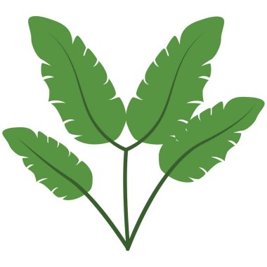 2D geniş yapraklı bitki, tropikal temalar, botanik içerikler, eko tasarımlar, bahçe görselleri ve taze doğa kompozisyonları için uygun yemyeşil yaprakları vurguluyor.