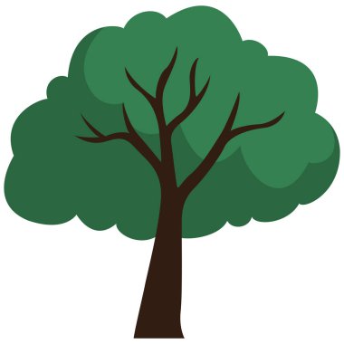 2D klasik orman ağacı, orman manzaraları, çevre temaları, peyzaj görselleri, eğitim içeriği ve yeşil açık hava tasarımları için ideal..