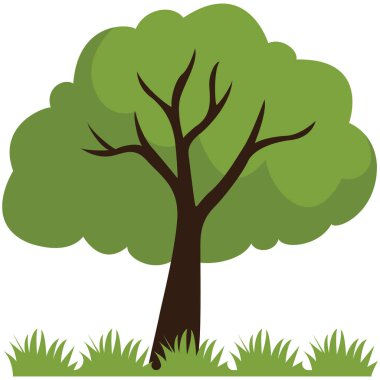 2d yeşil ağaç, doğa sahneleri, orman ortamları, ekolojik projeler, eğitimsel görseller ve açık hava tasarımları için ideal..