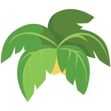 Geniş yapraklı 2d palmiye ağacı tropik sahneler, sahil manzaraları, eko temaları, seyahat görselleri ve doğa temelli tasarımlar için mükemmeldir..