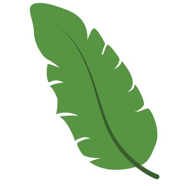 Bitkisel temalar, ekolojik görseller, doğa eğitimi ve dekoratif tasarımlar için mükemmel yaprak detaylarını vurgulayan 2D büyük yaprak.