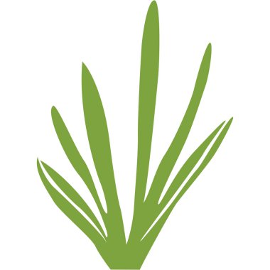 2d uzun çimen bitkisi ince yeşil bıçaklar bahçe manzarası aksanları ve doğal tasarım elementleri için uygun