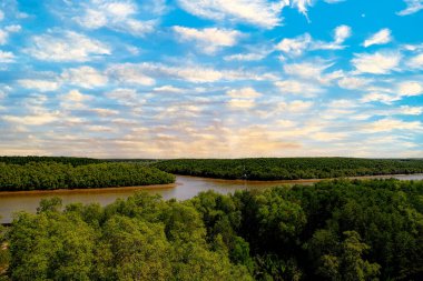 Bir timsah, bir yengeç ve Vietnam 'da bir nehirde yüksek kaliteli fotoğraflar.