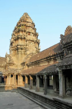 Angkor, Kamboçya. Tapınaklar, dini binalar, taş oymalar, doğanın taşa karşı zaferi..